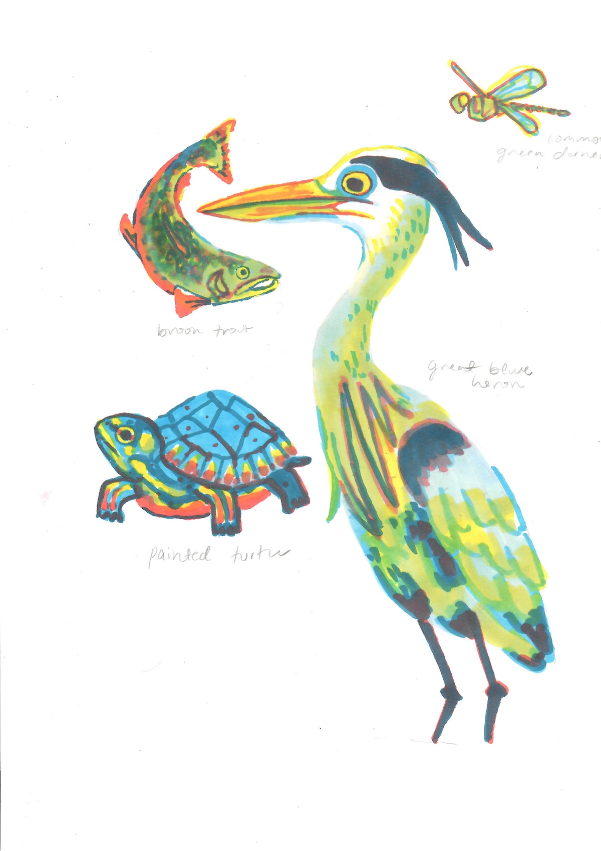 Sketches